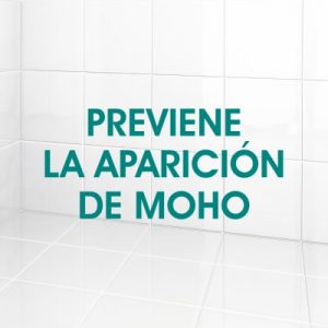 prevención moho baños