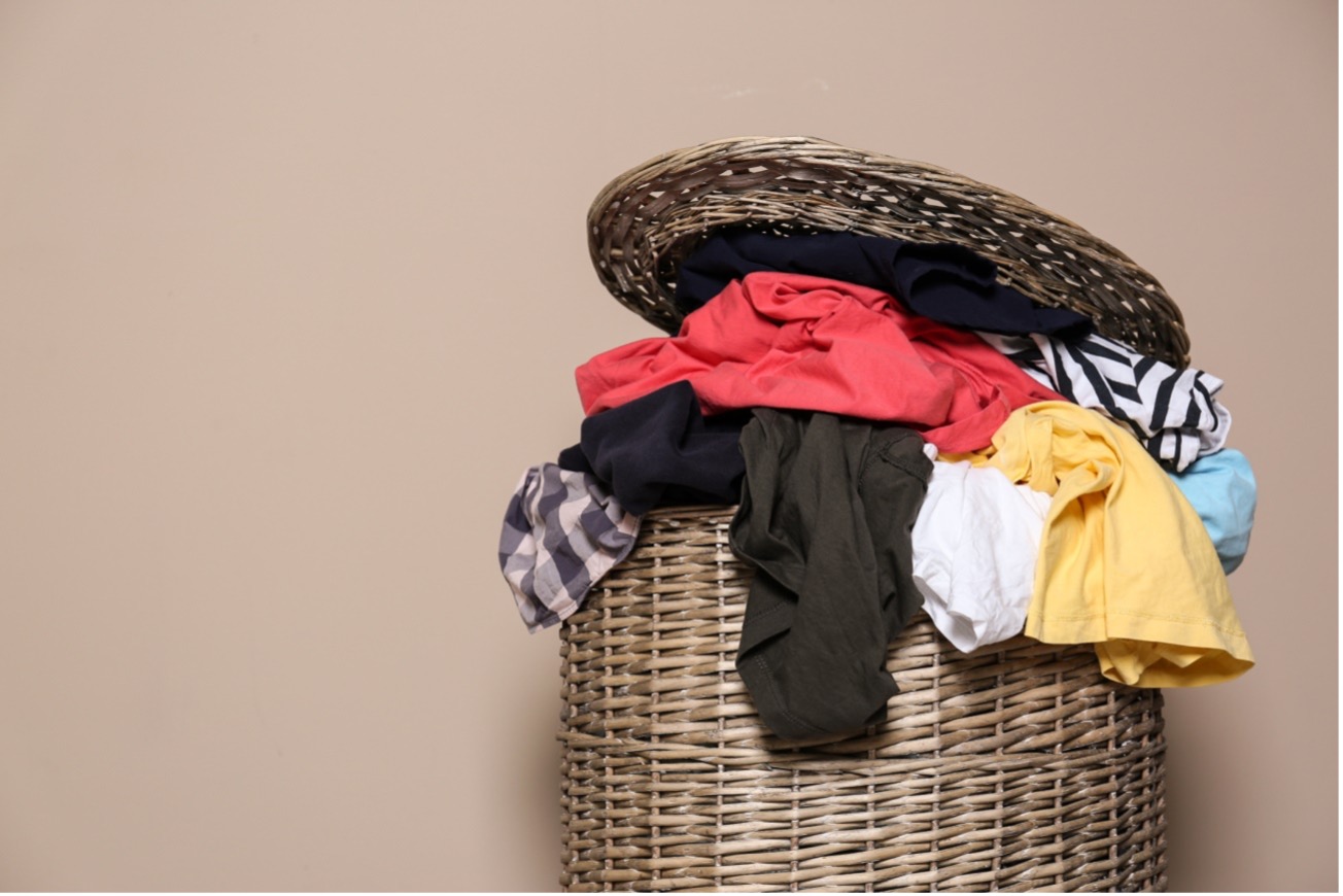 4 pasos para quitar las manchas de moho de la ropa | Sanytol