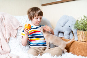Niño con su gato sentados en un sofá limpio y libre de olores gracias a Sanytol